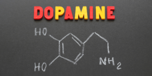 Transformative Life: The Most Powerful Drug and Finding Balance