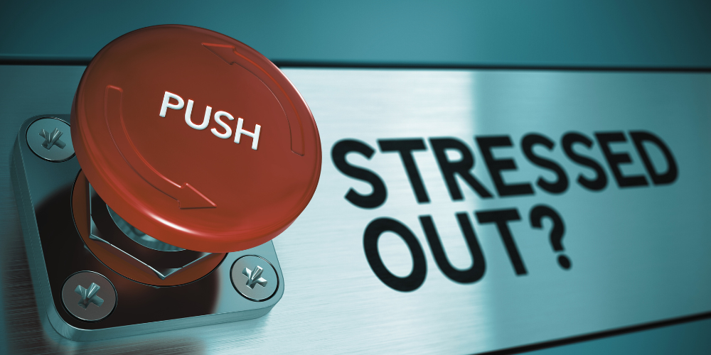 #1 Best Life Coach Brooklyn Advice for Managing Stress: How to Activate Your Inner Mentor