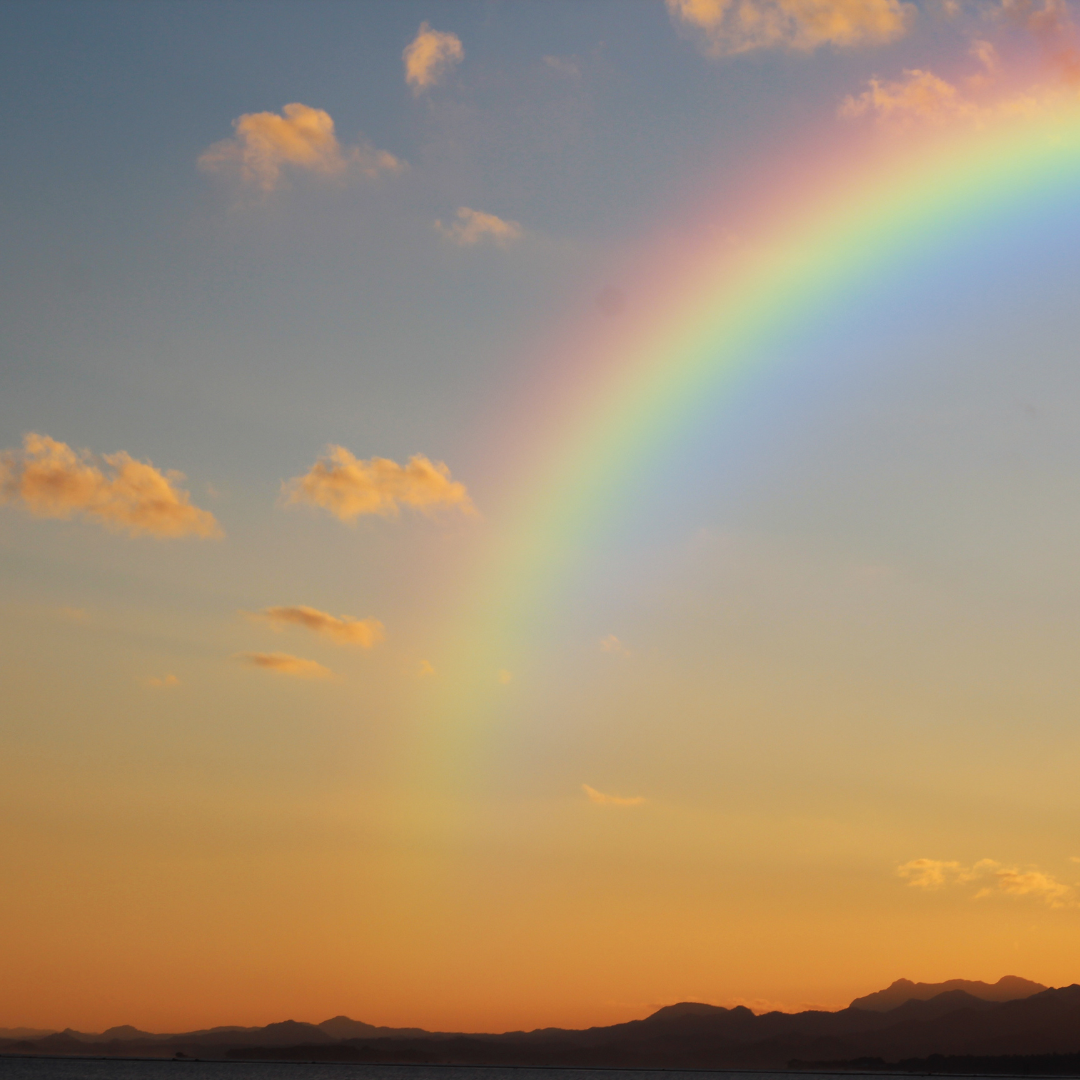 Energy Transforming Coaching: Creating a Spiritually Grounded Life